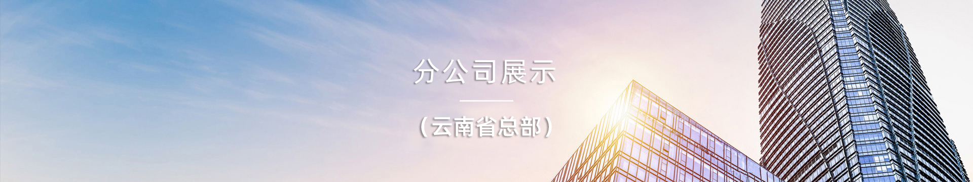 授权分公司展示